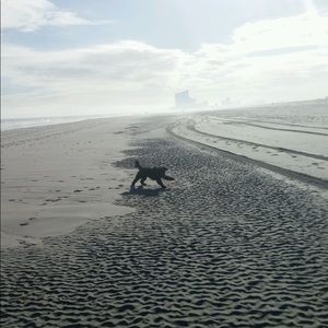 Meet your Posher, Cary